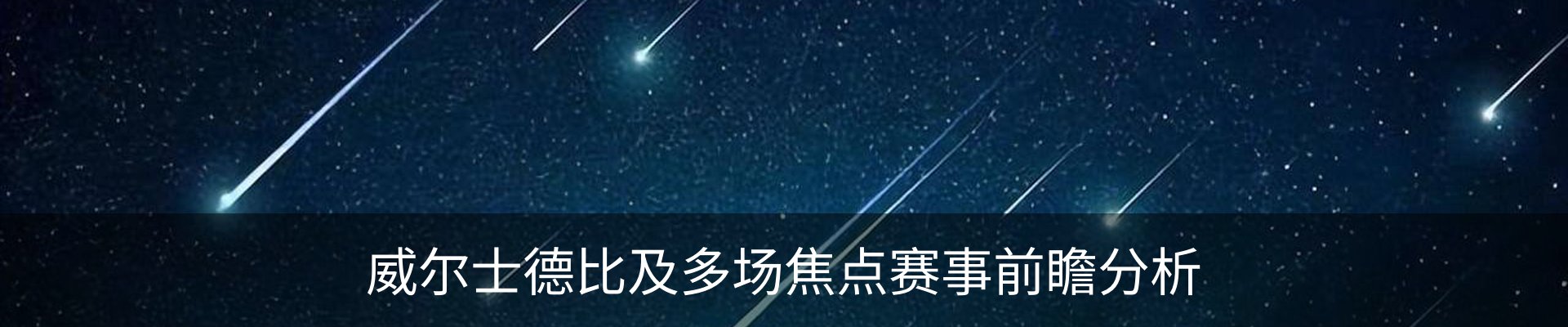 新闻动态